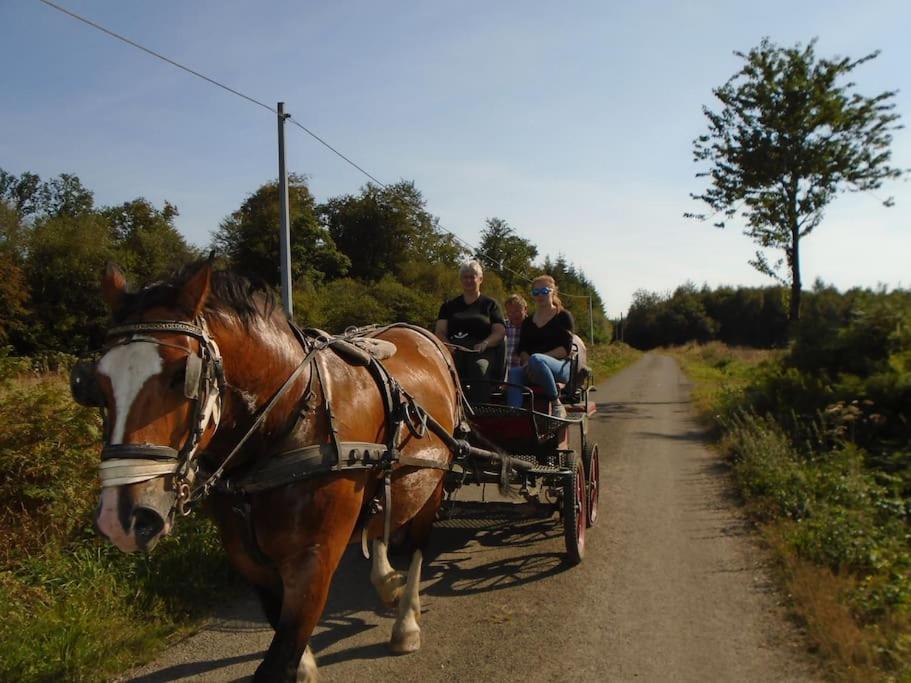 Вилла Gite : La Cochetiere : Ancienne Ferme 18Eme Le Grais Экстерьер фото